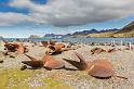 049 Zuid-Georgie, Stromness